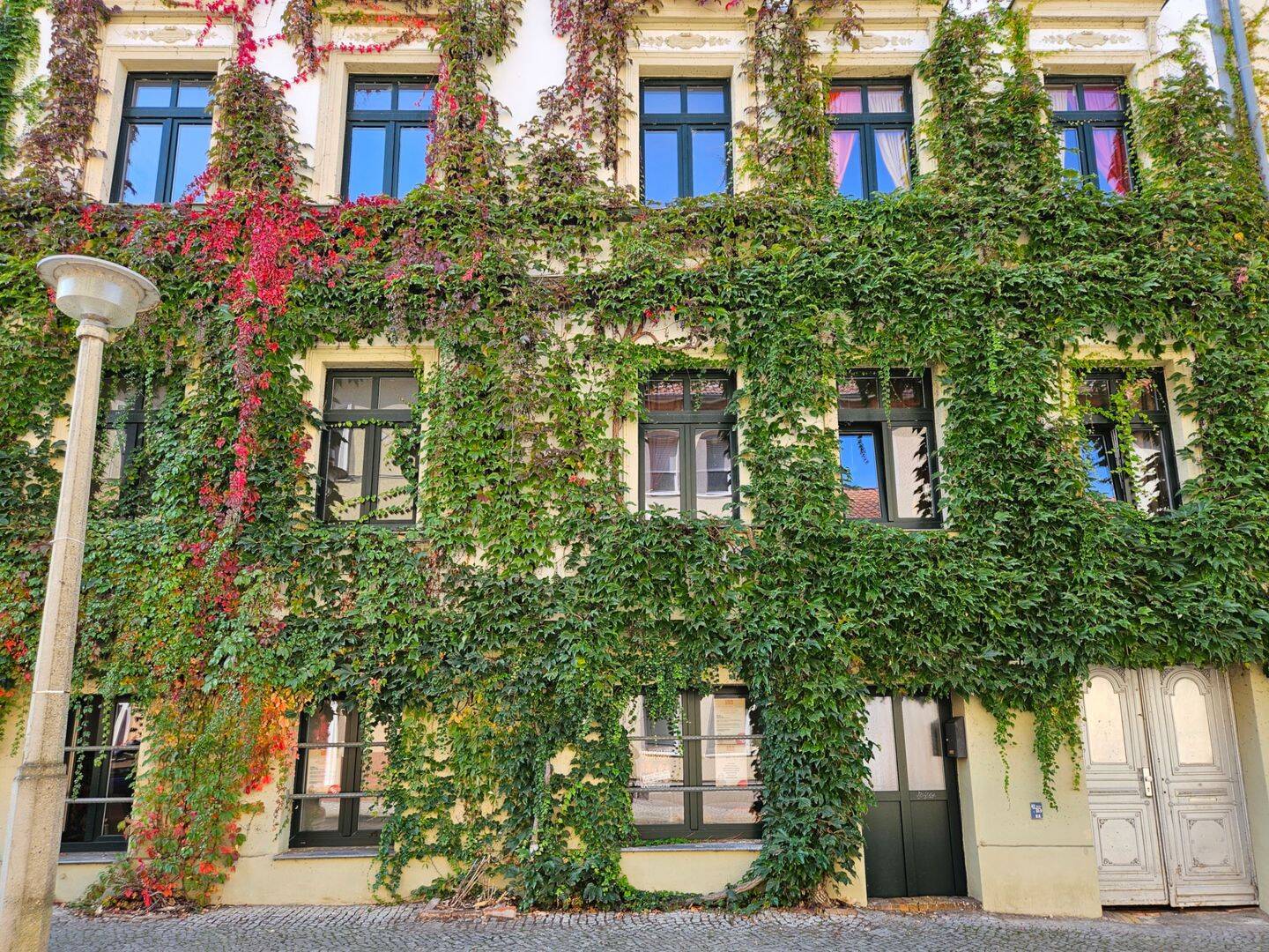 Mit Video: Süße Single-Wohnung am Landesmuseum!, 6114 Halle (Saale) (Am Wasserturm Giebichenstein Innenstadt Paulusviertel Trotha)