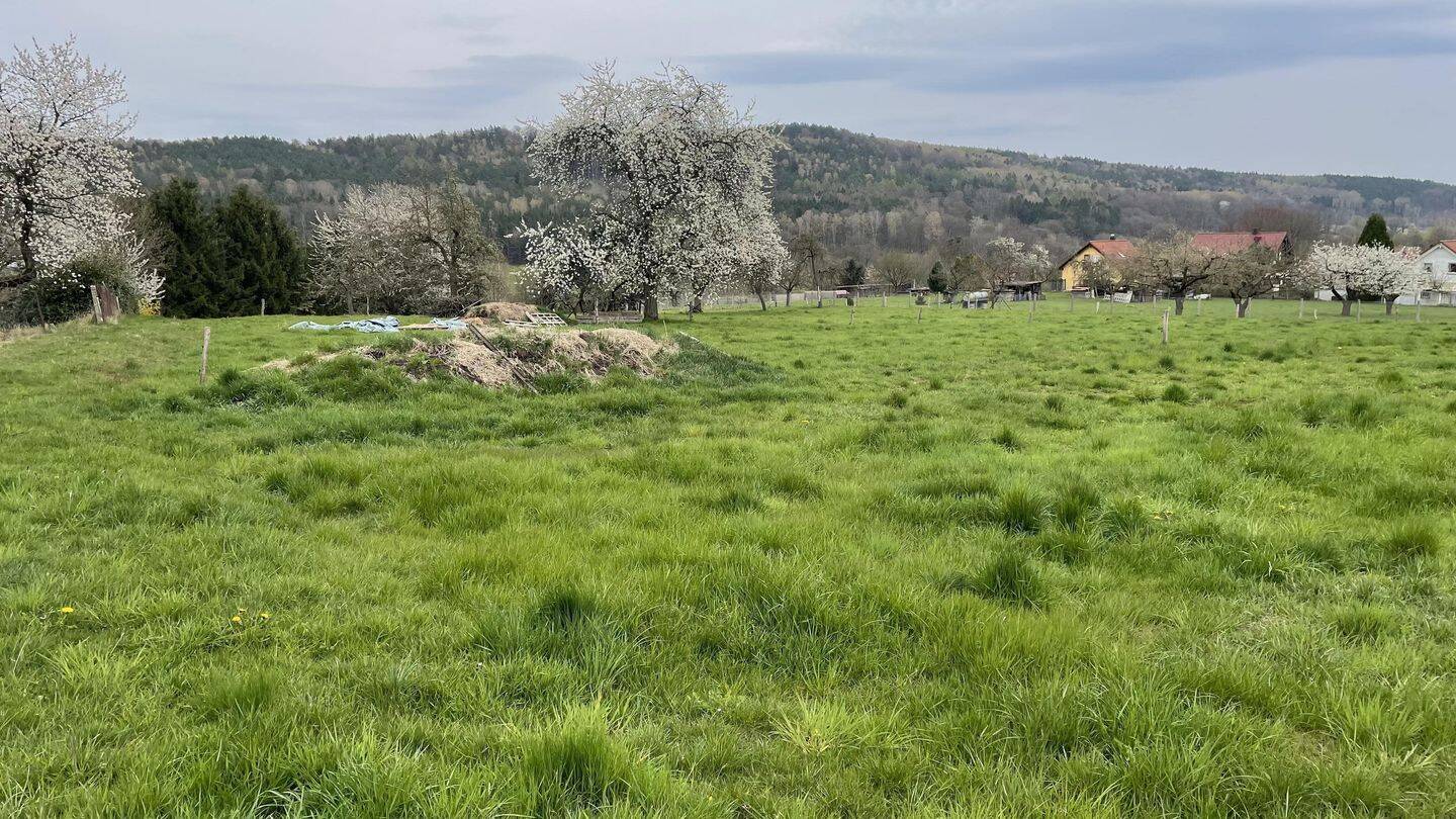 Bauerwartungsland in kleinem Baugebiet, 1833 Dürrröhrsdorf-Dittersbach