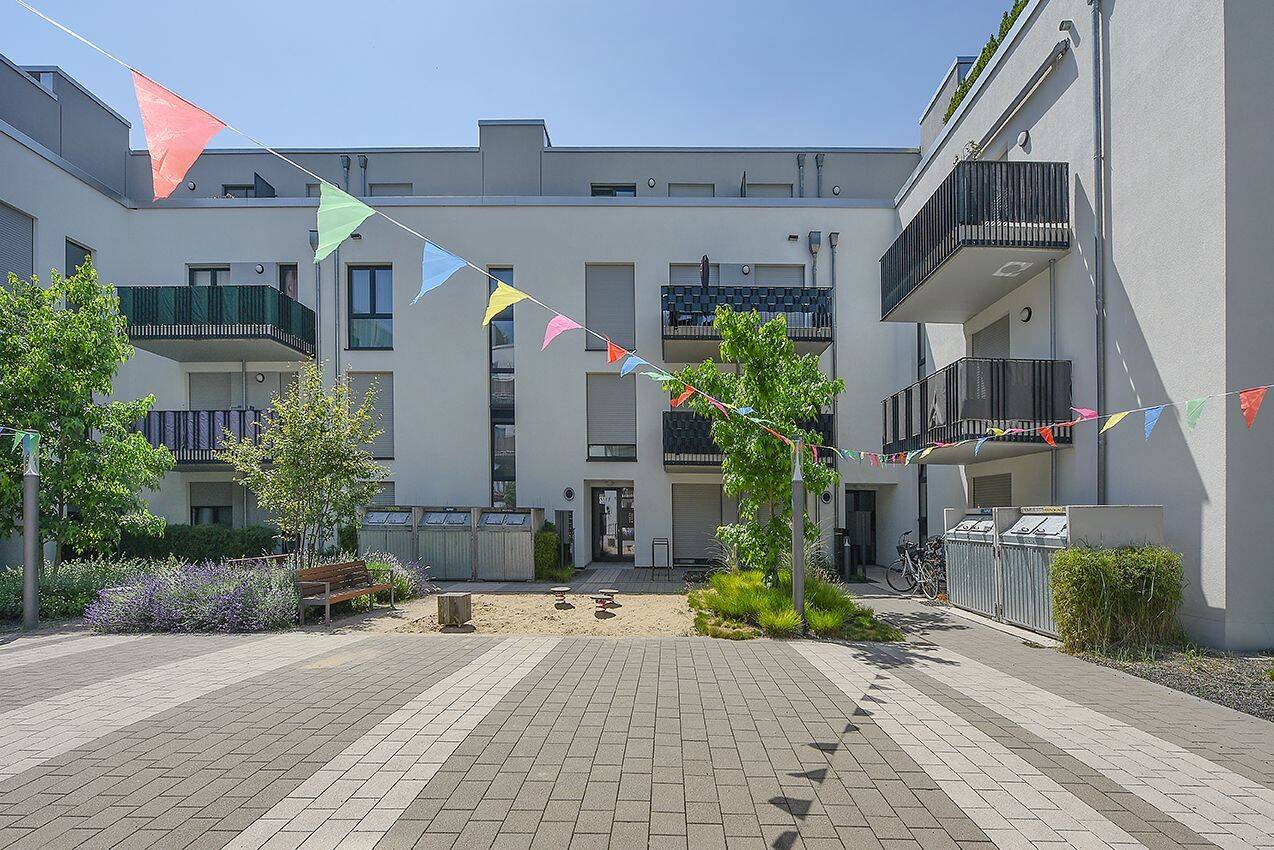Bild 5