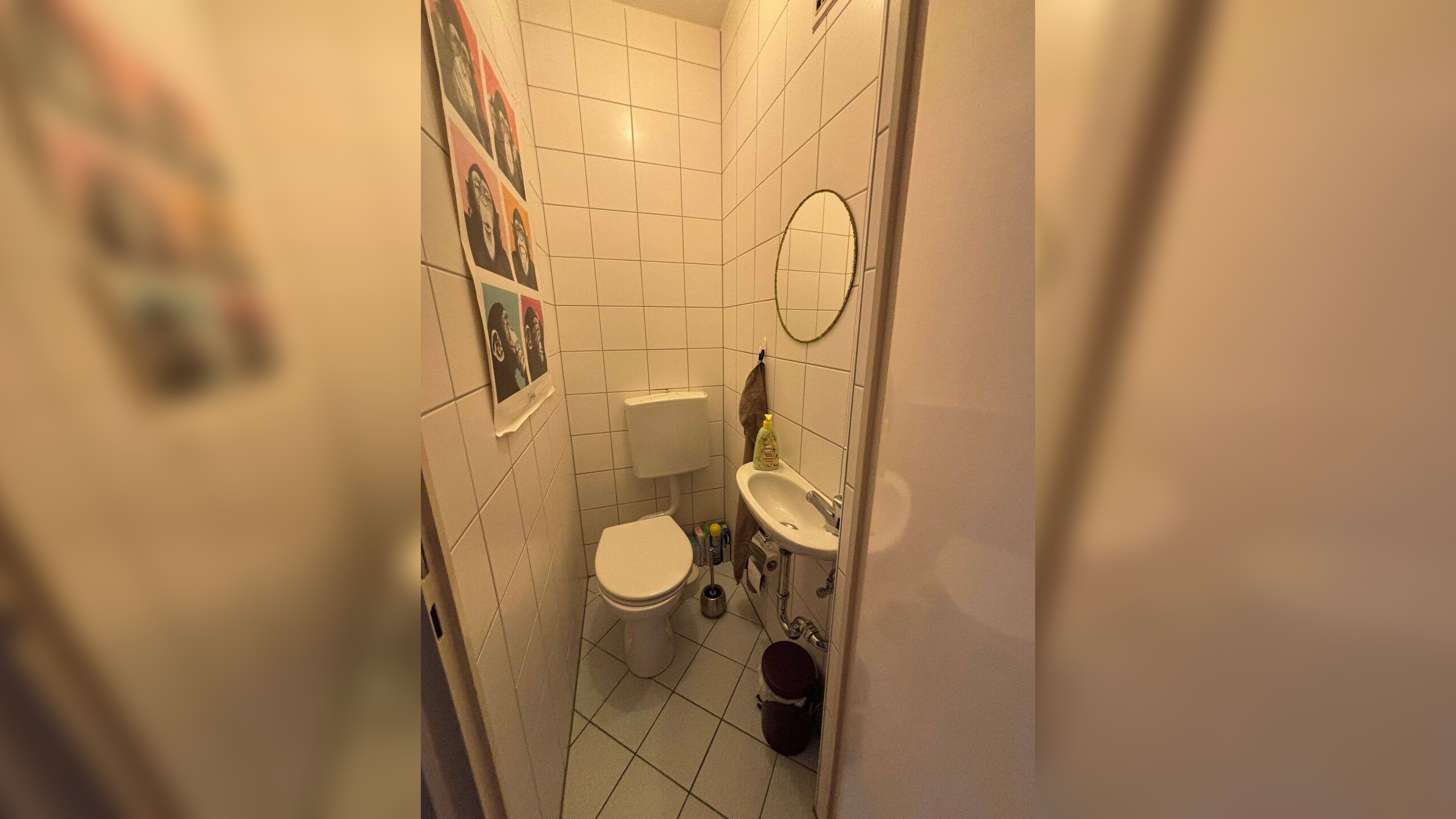 Bild 7