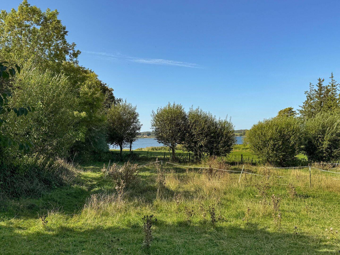 Großzügiges Grundstück mit Schleiblick und Altbestand, 24398 Winnemark