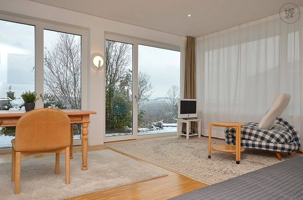 Möblierte 1-Zimmerwohnung in Würzburg/Steinbachtal für Wochenendheimahrer, 97082 Würzburg (Altstadt Heidingsfeld Steinbachtal Zellerau)