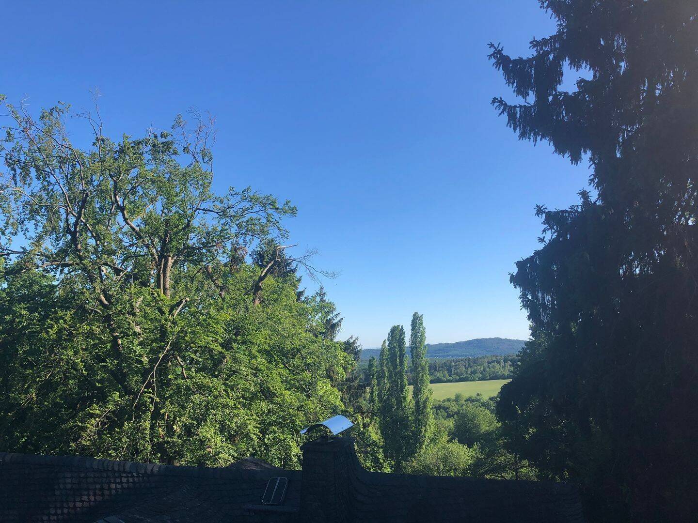 Naturnahe 4-Zimmer-DG-Wohnung mit Fernblick, 61462 Königstein im Taunus