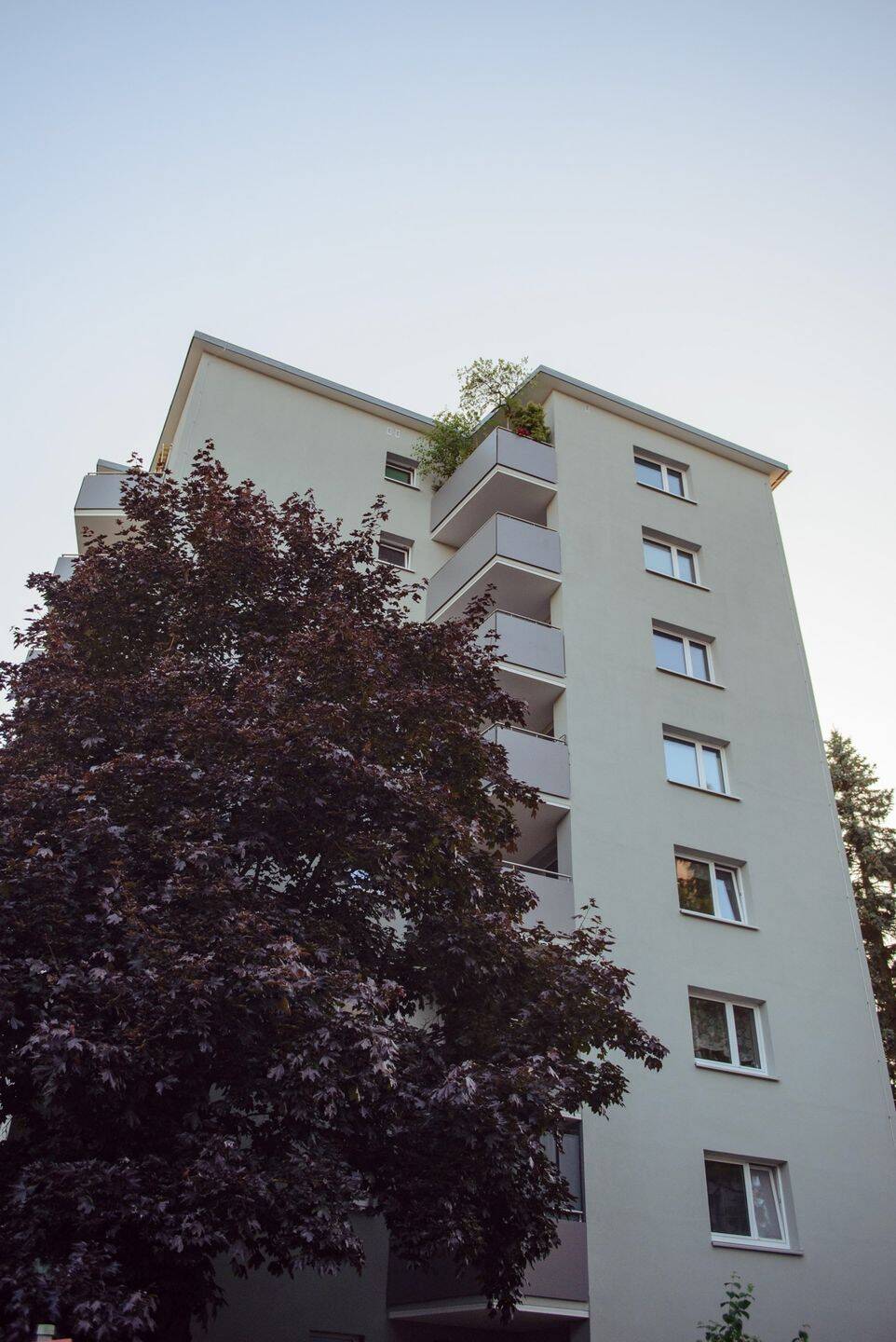 Single-Wohnung am Fuß vom Mariahilfberg, 92224 Amberg