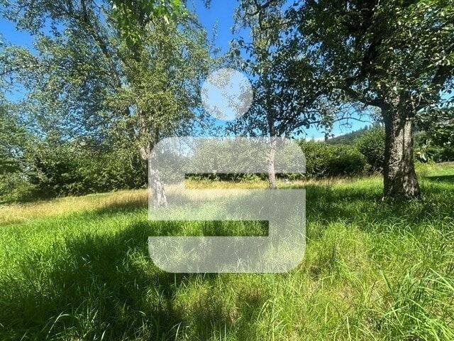 Gute Lage. Viele Möglichkeiten. Attraktives Mischgebietsgrundstück mit Projektpotenzial!, 94065 Waldkirchen