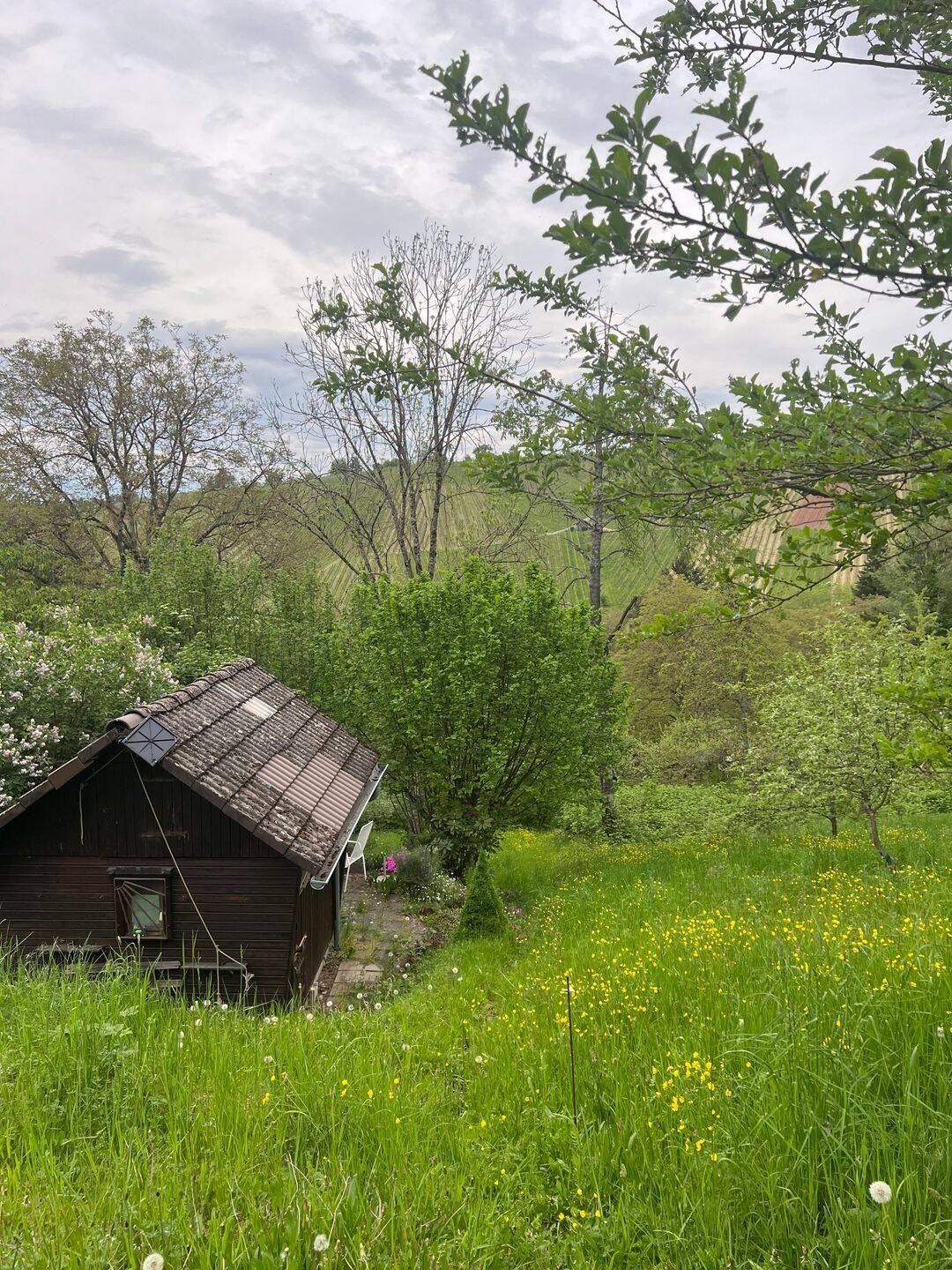 RÜCKZUGSORT : Garten-Grundstück in Therapeutischer Hochlage – in Mitten der Weinberge, 71384 Weinstadt