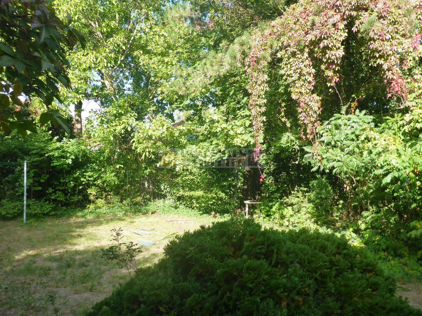 Sanierung oder Neubau: DHH im Stadtwesten auf großem Gartengrund, 93049 Regensburg (Großprüfening-Dechbetten-Königswiesen Innenstadt Westenviertel)