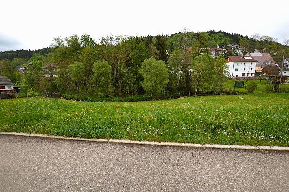 Großzügiges Baugrundstück in idyllischer Lage von Betzweiler, 72290 Loßburg