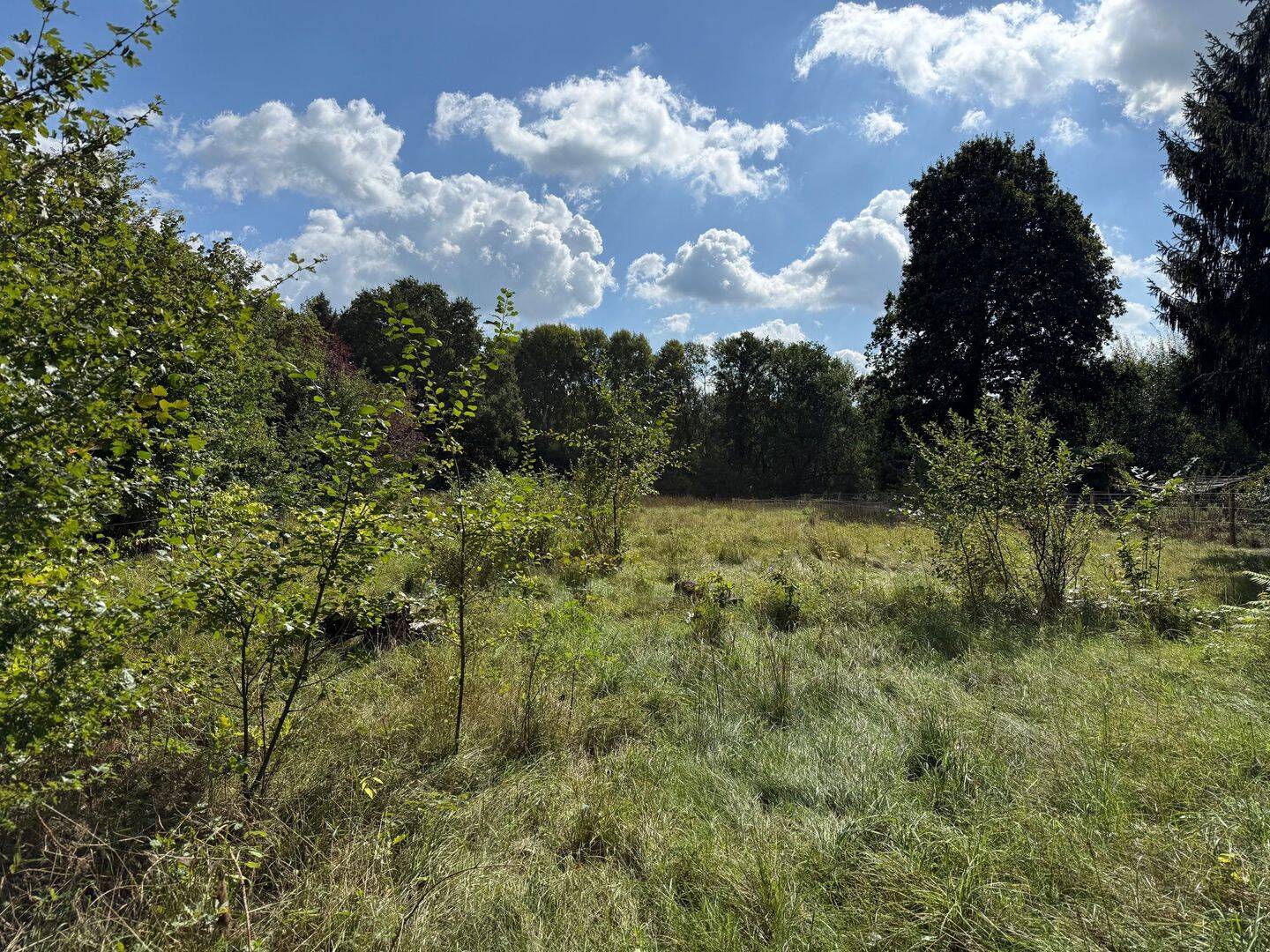 Idyllisches Baugrundstück in Hoope mit optionaler Weide, 27628 Hagen im Bremischen