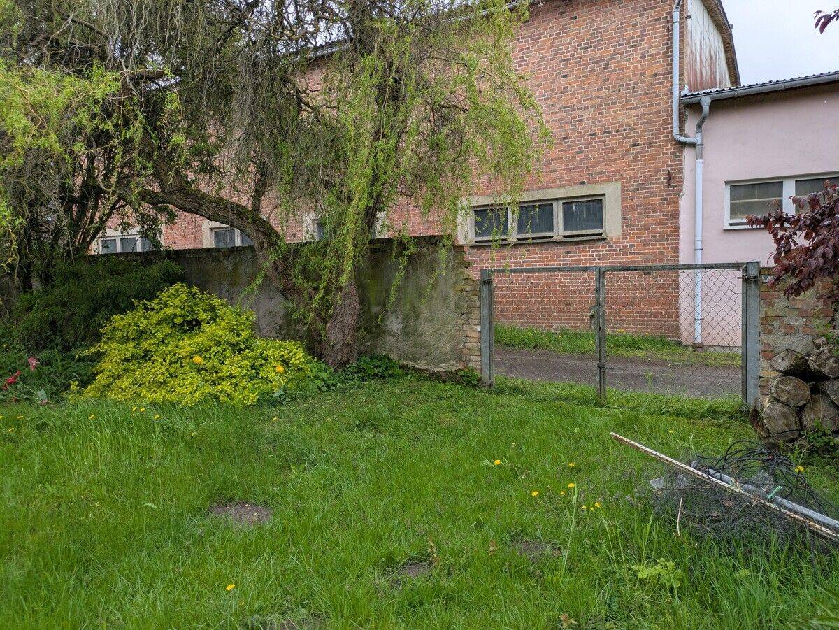 Bild 7