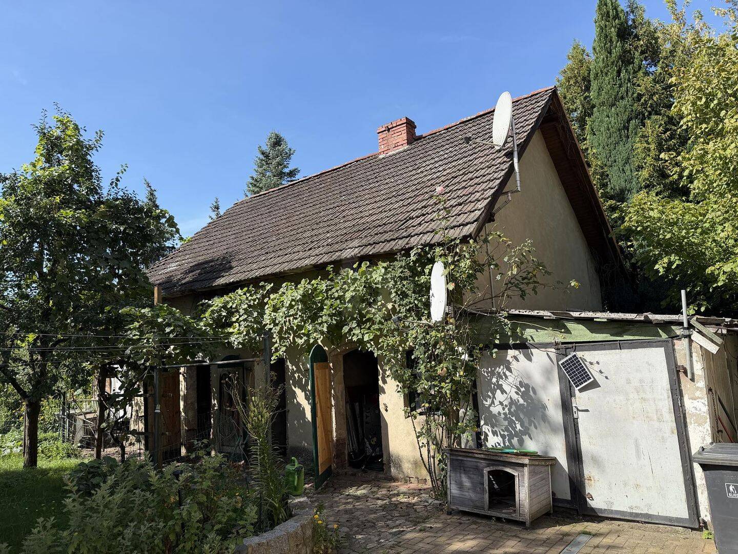 Bild 5