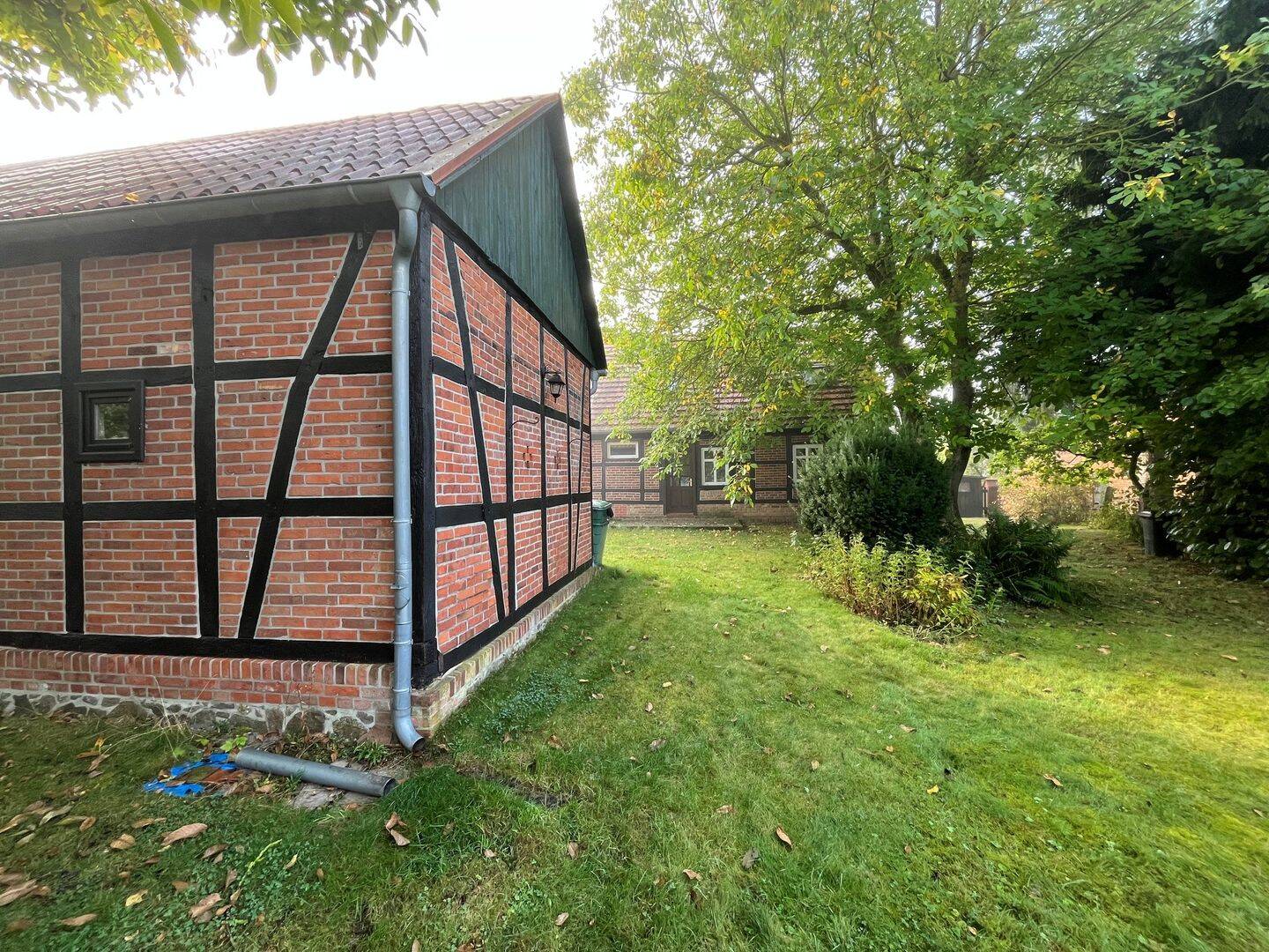 Bild 12