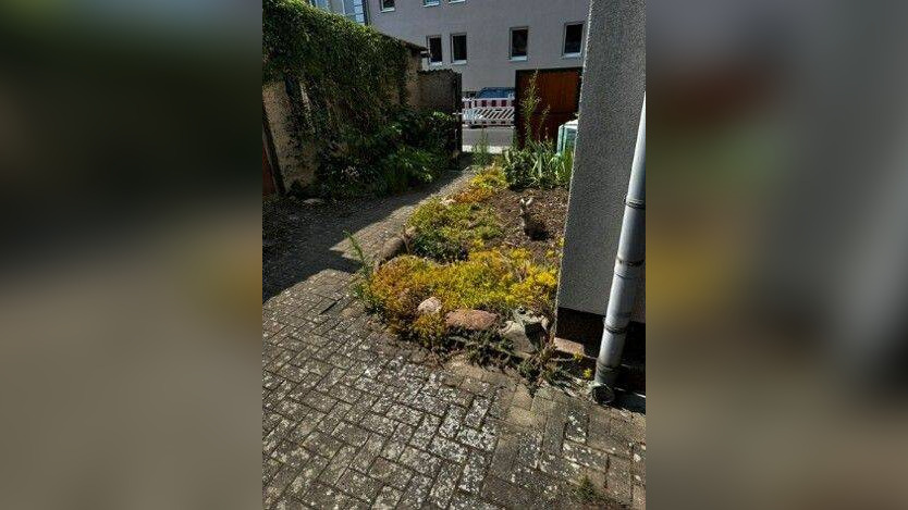 Bild 5