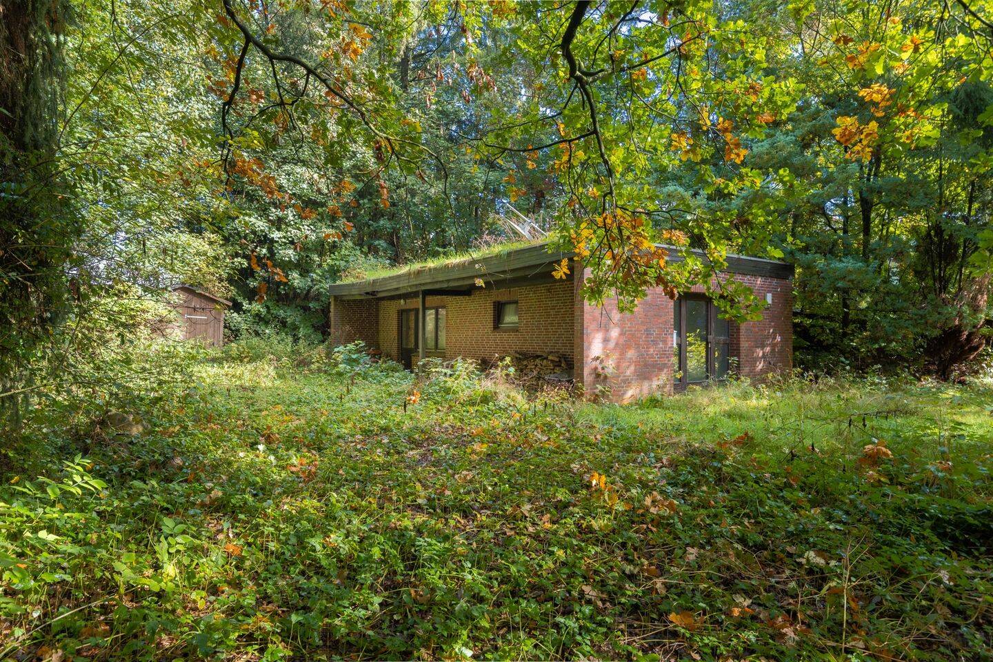 Bild 5