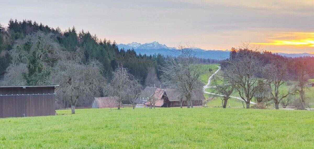 Erbauen Sie sich Ihren Bauernhof neu! Top Lage nahe Bodensee mit tollem Ausblick!, 88099 Neukirch