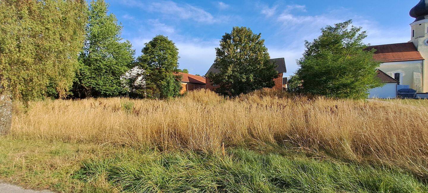 Ruhig gelegenes Baugrundstück in zentraler Lage von Treidlkofen, Nähe Vilsbiburg!, 84155 Bodenkirchen