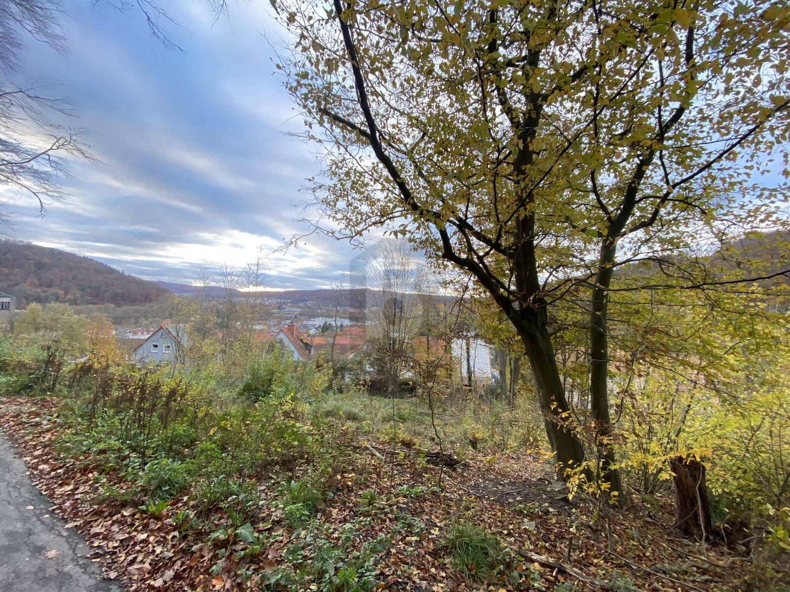 IHR RÜCKZUGSORT: 960 M² INMITTEN DER NATUR, 34346 Hann. Münden