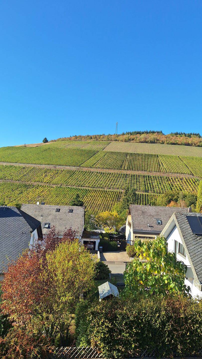 Helle 3-Zimmer-Wohnung mit Balkon und Weinbergblick in Kasel, 54317 Kasel