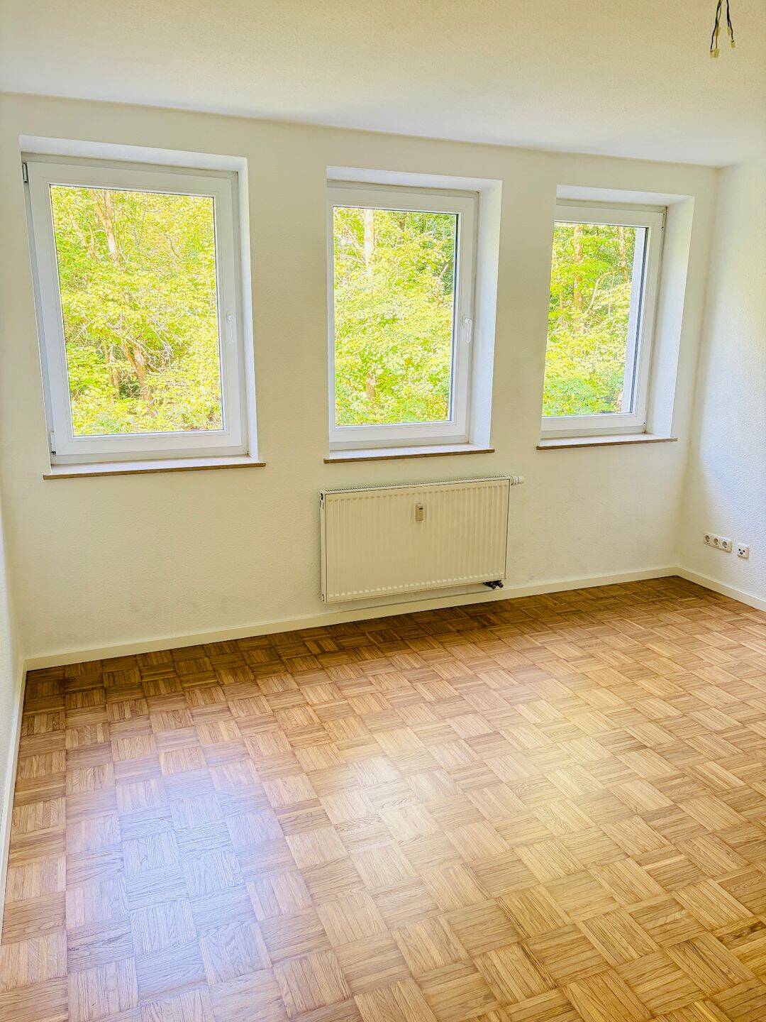 Schöne 2,5-Zimmer-Wohnung in grüner Umgebung, 90478 Nürnberg (Dutzendteich Gleißhammer Glockenhof Sankt Peter Zerzabelshof)