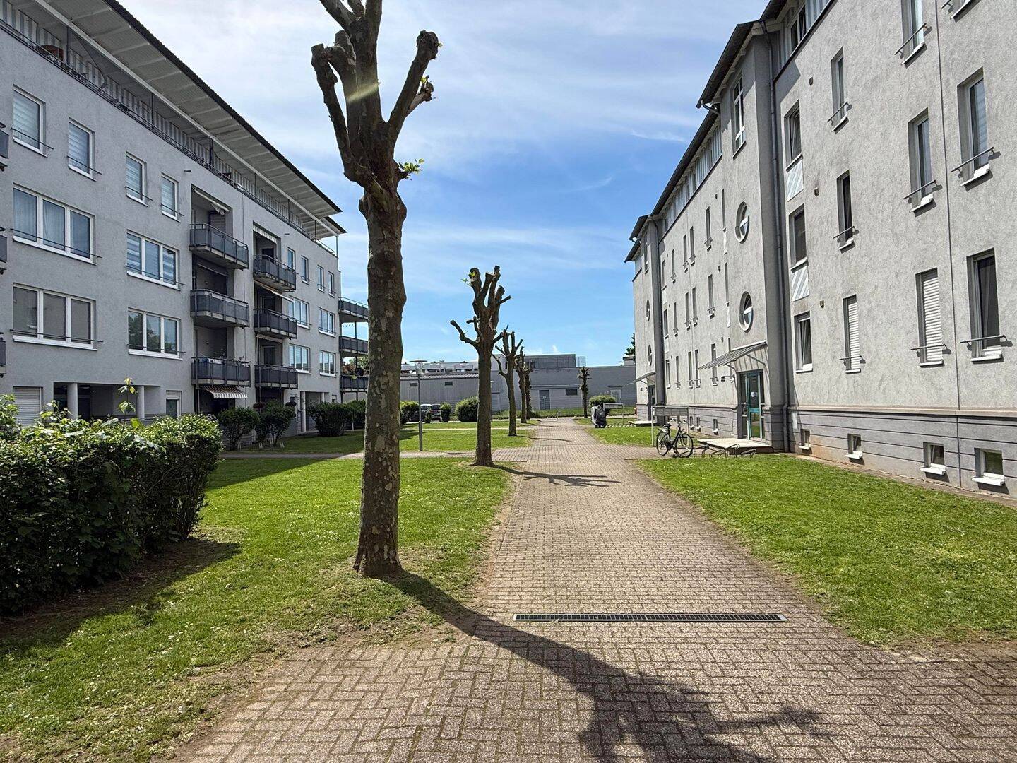 Attraktive 2-Zimmer Wohnung mit Dachterrasse in Kassel-Waldau nahe der Buga, 34123 Kassel (Bettenhausen Forstfeld Unterneustadt Waldau)