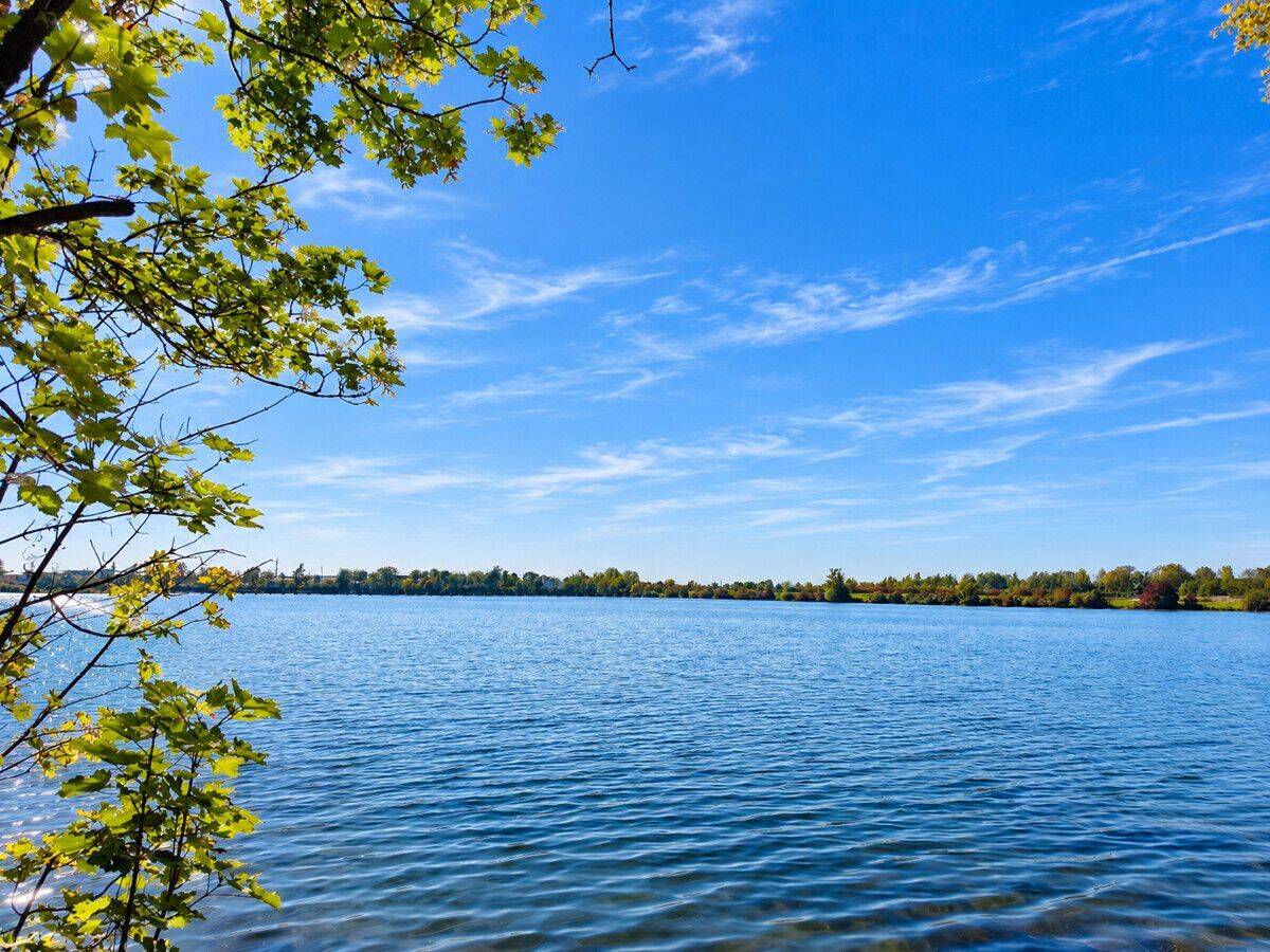 Stadt Deggendorf: 5.800 m2 Freizeitgrundstück am „Hackerweiher“ mit Wiese und Baumbestand, 94469 Deggendorf