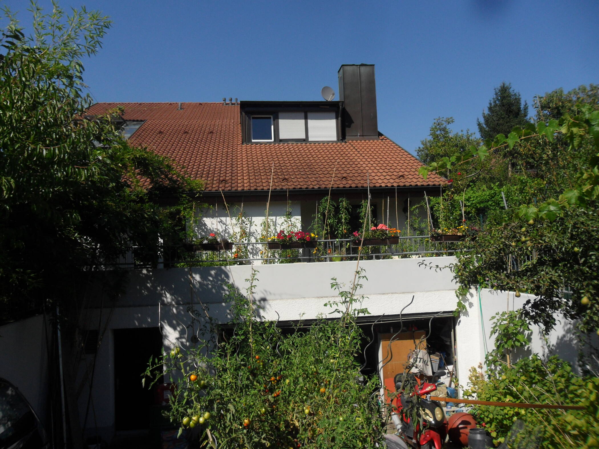 Bild 4