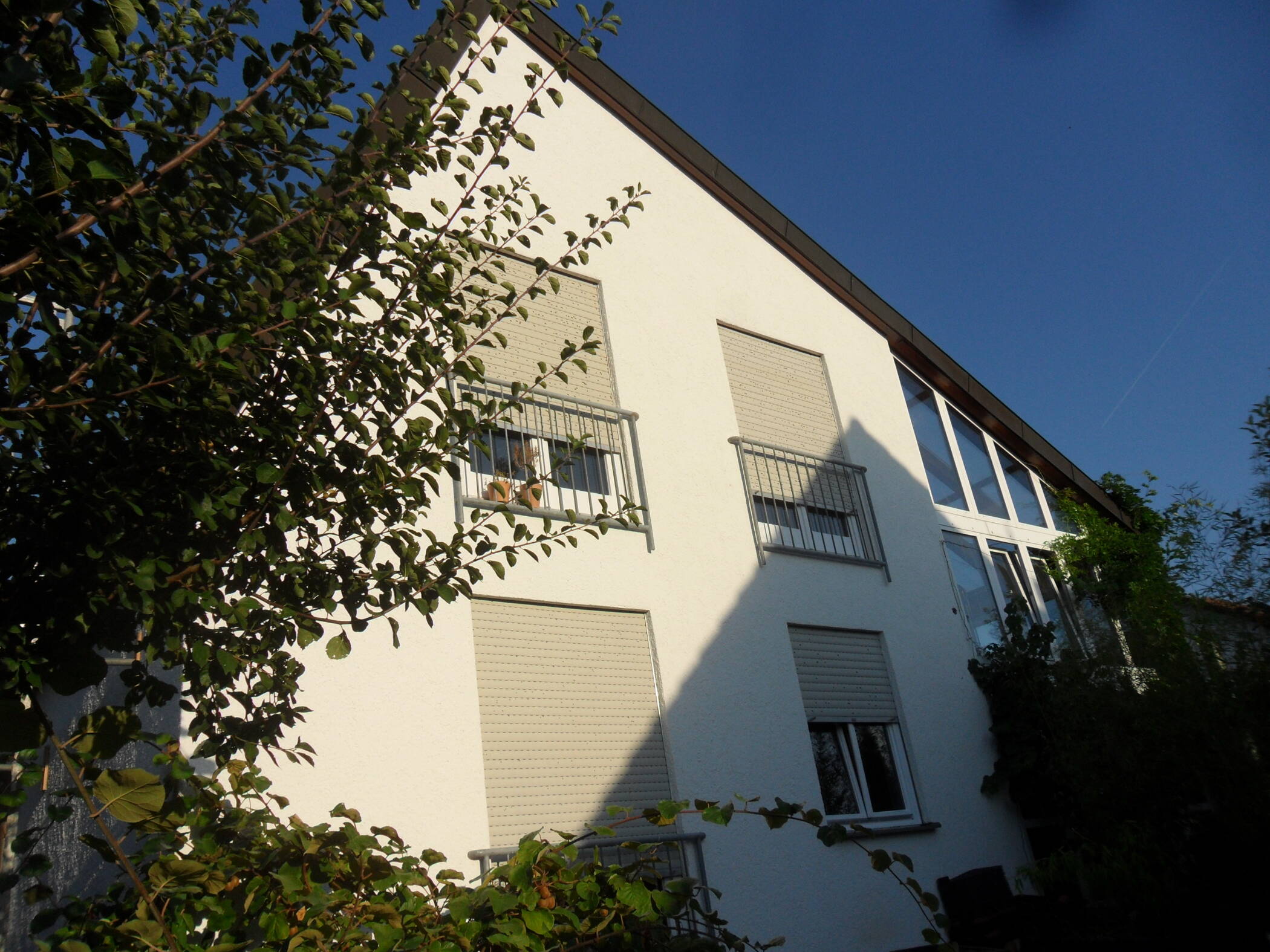 Bild 5