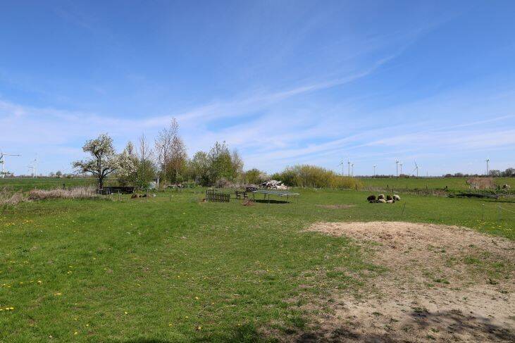 Bild 7