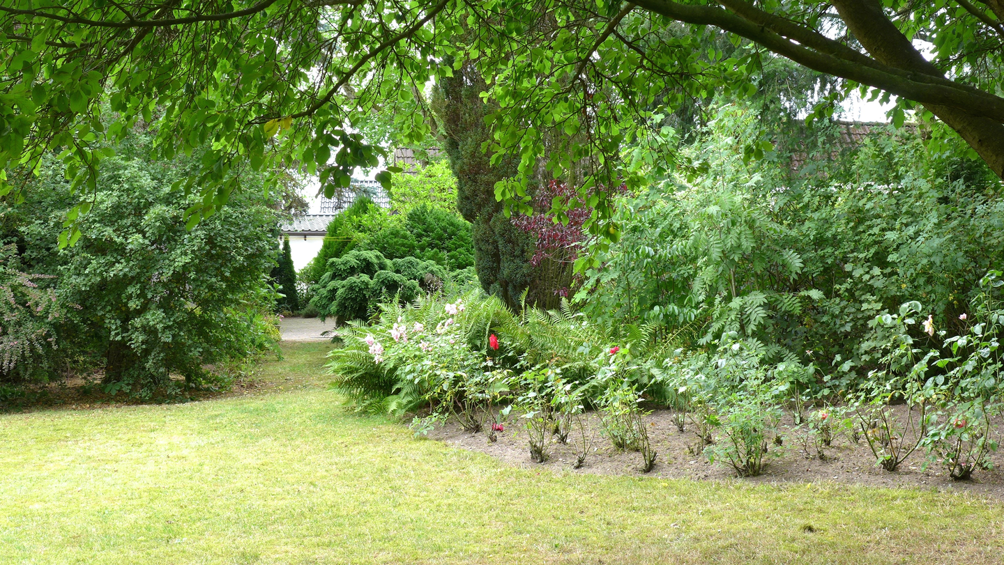 Bild 7