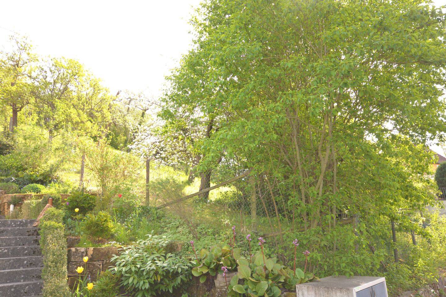 Bild 6
