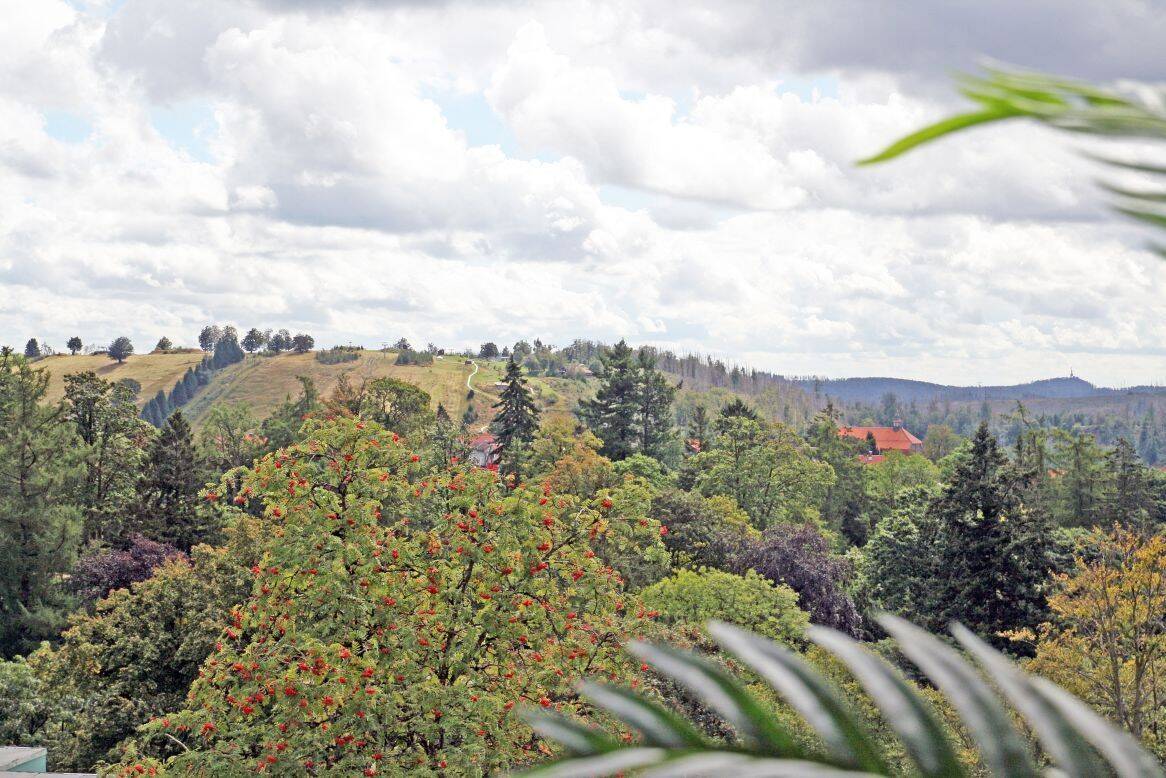 St. Andreasberg traumhaftes kl. Raumwunder als Fereindomizil m Fernsicht, 37444 Braunlage