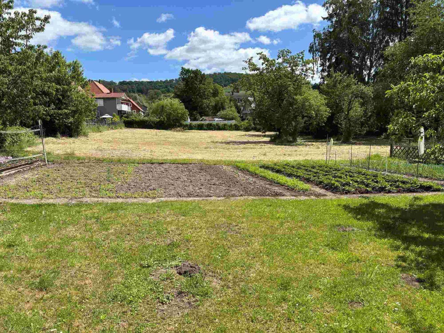 Grundstück in Freden zu verkaufen (Wanderregion Leinebergland), 31084 Freden (Leine)