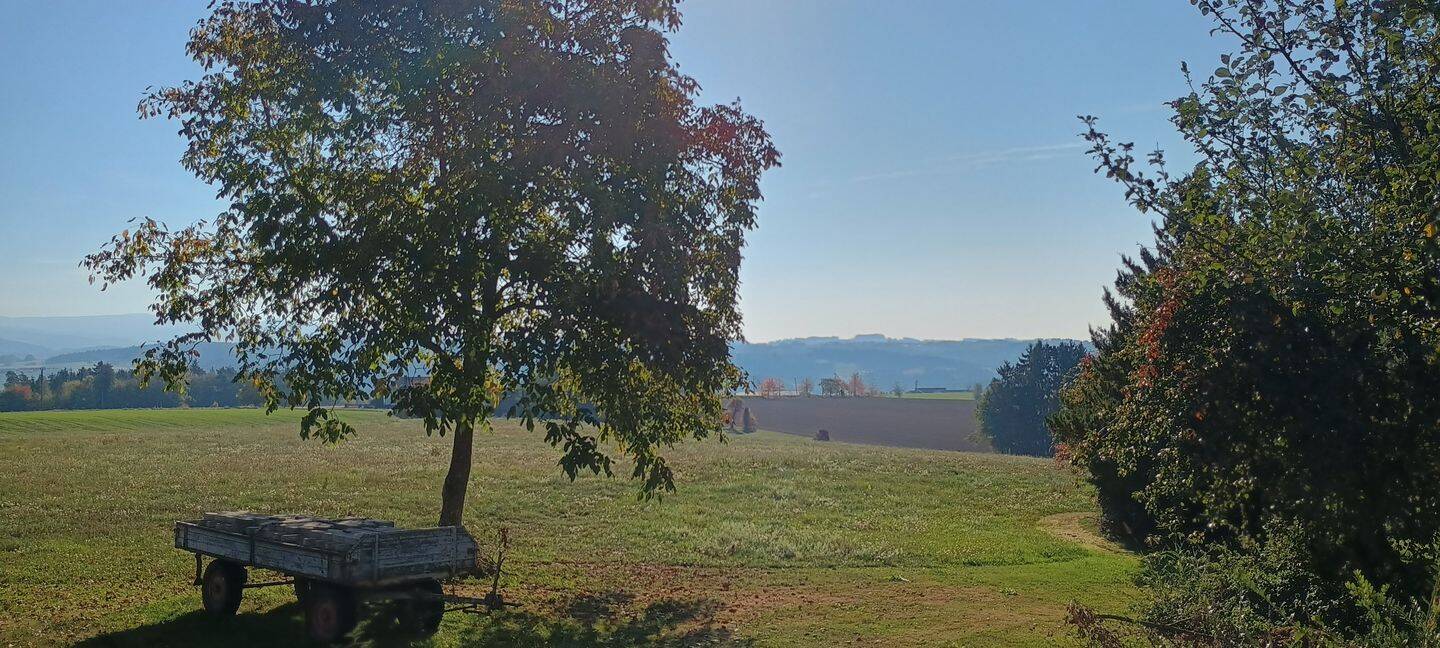 Mietwohnung, 4 Zimmer, 160 m², in Ascha, 94347 Ascha