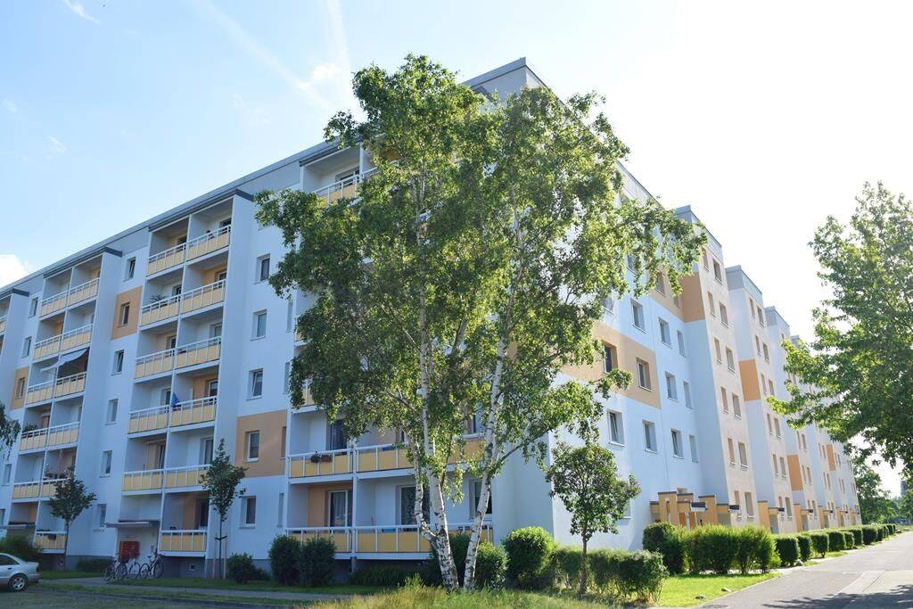 Noch im Werden, bald zum Wohlfühlen /Still taking shape, soon a place to feel at home, 3044 Cottbus (Mitte Saspow Schmellwitz Sielow Ströbitz)