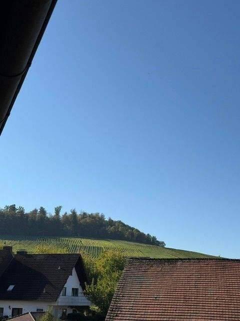 Alles neu- Helle Wohnung mit toller Aussicht  im schönen Ebringen, 79285 Ebringen