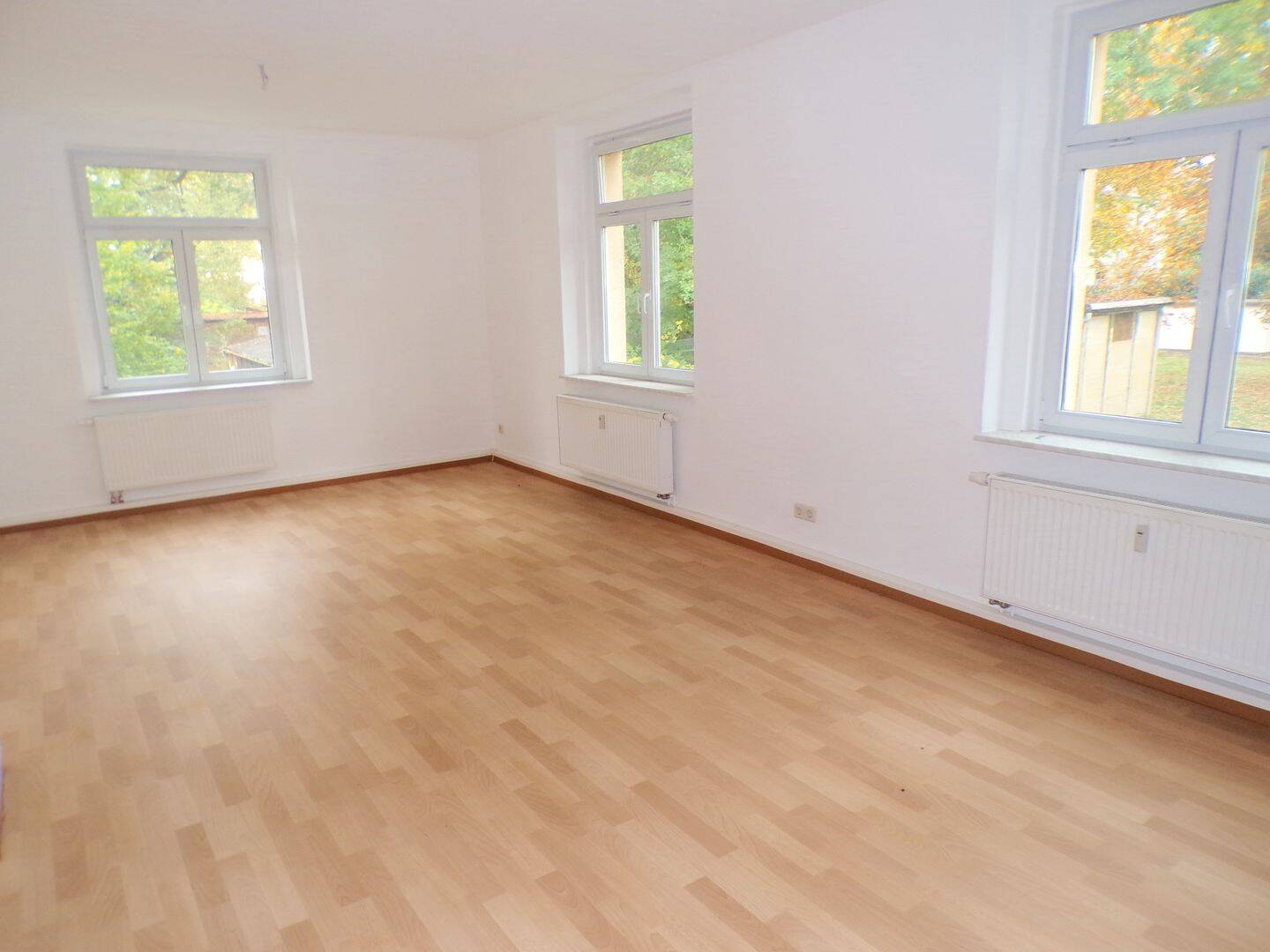 Gemütliche 2 Zimmer Wohnung in Werdau zu vermieten !, 8412 Werdau