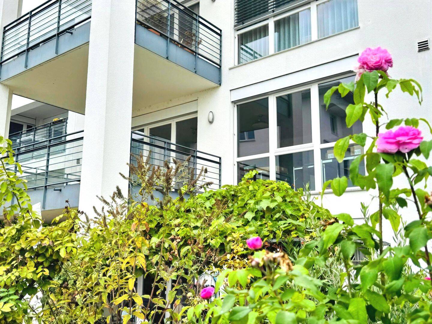 Helle 3-Zimmer-Wohnung direkt am Rhein, 65201 Wiesbaden (Dotzheim Frauenstein Schierstein)