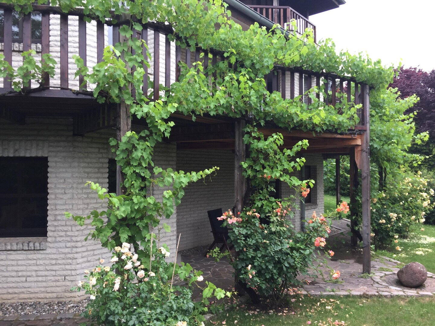 Bild 8
