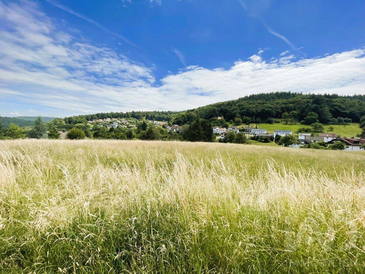 „Wo der Odenwald den Alltag entschleunigt und Heidelberg nah bleibt“ 77 m² Wohnkomfort im Grünen, 69259 Wilhelmsfeld