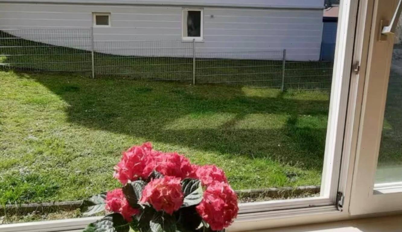 Mietwohnung, 1 Zimmer, 38 m², in Bamberg, 96049 Bamberg (Bamberg Bug Gaustadt Wildensorg)