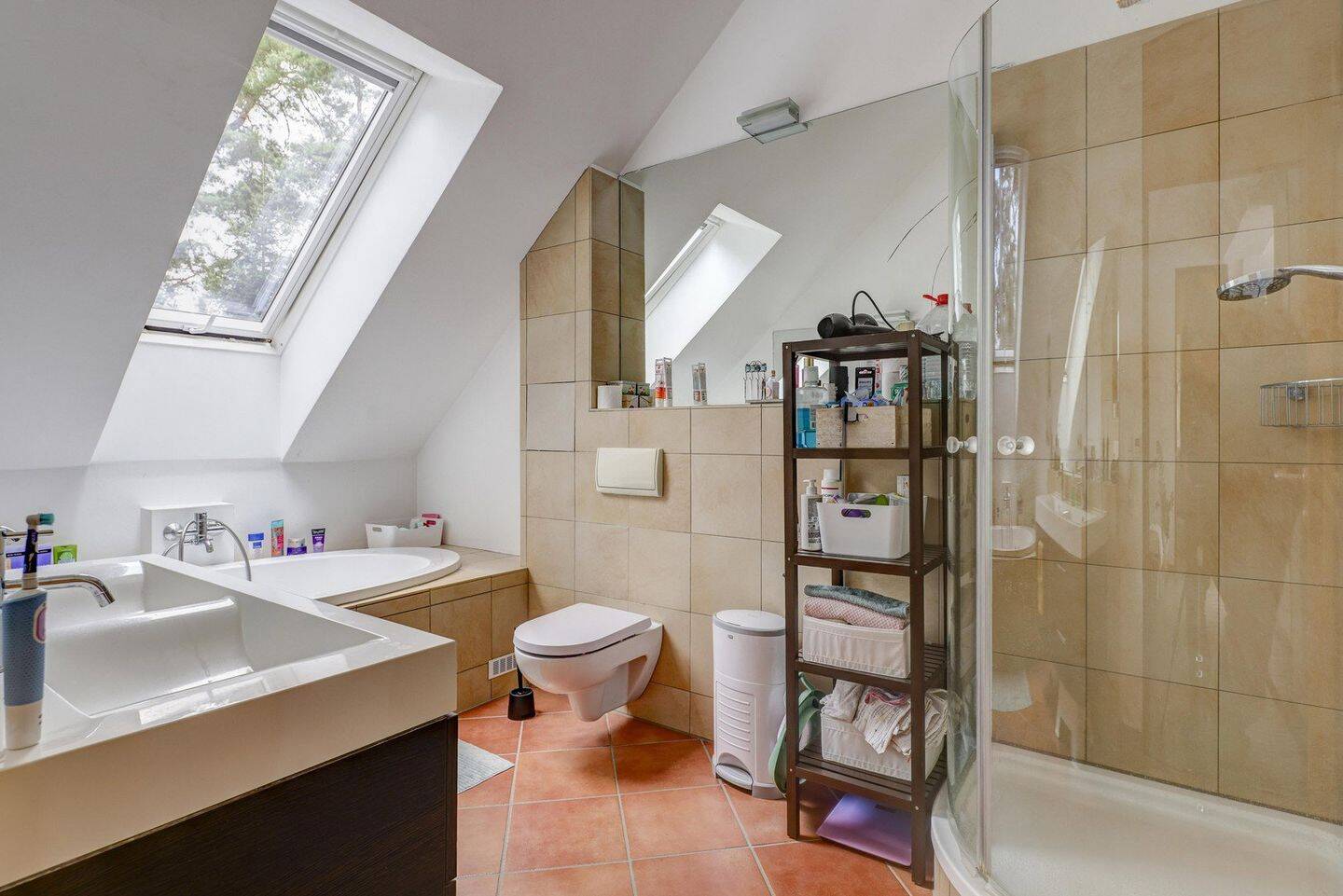 Bild 12
