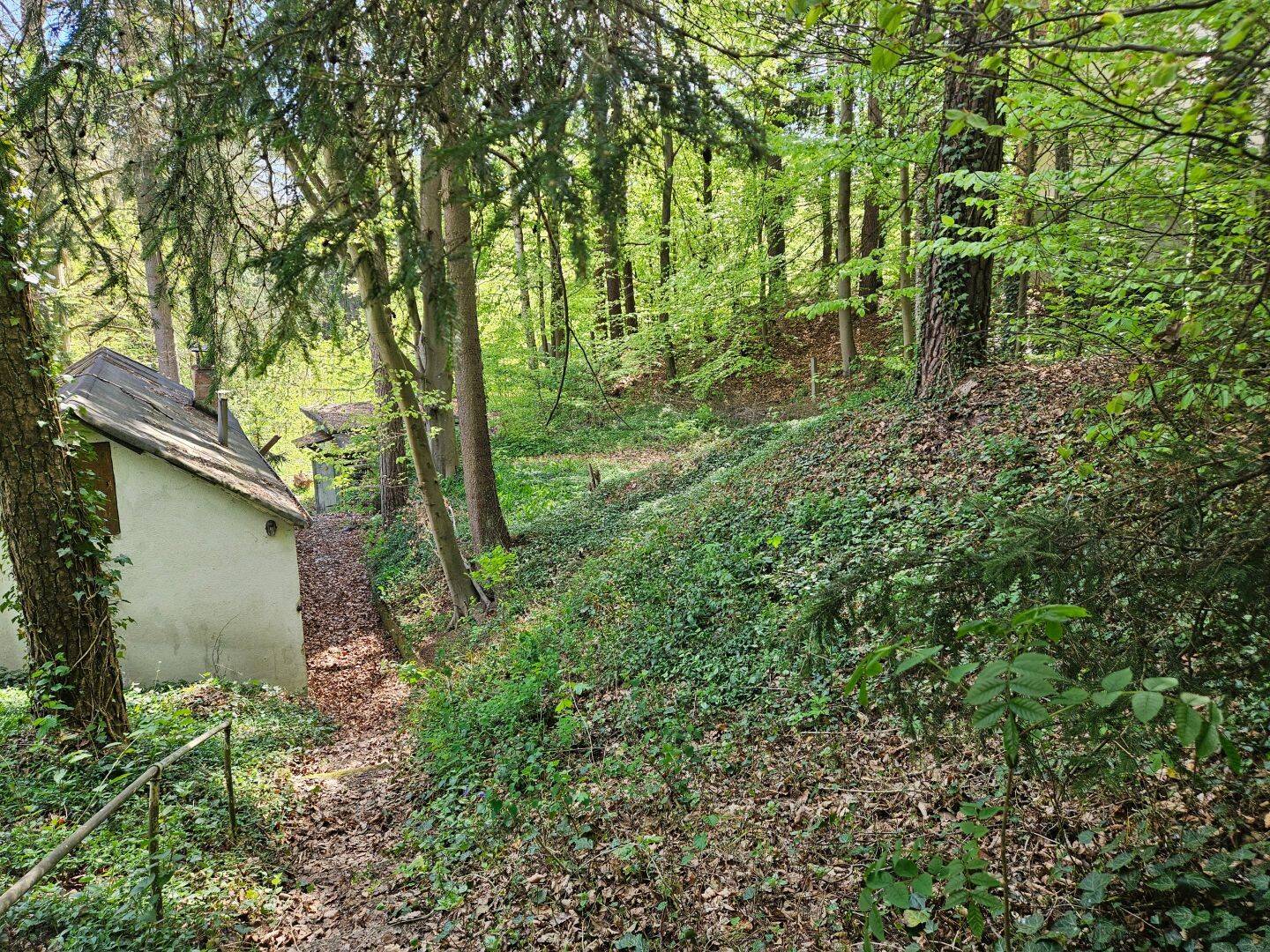 Bild 4