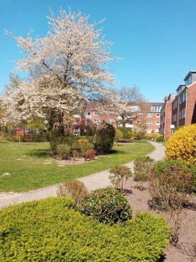 Nähe Bürgerpark schöne ruhige 2 Zimmerwohnung, 28213 Bremen (Neu Schwachhausen Riensberg)