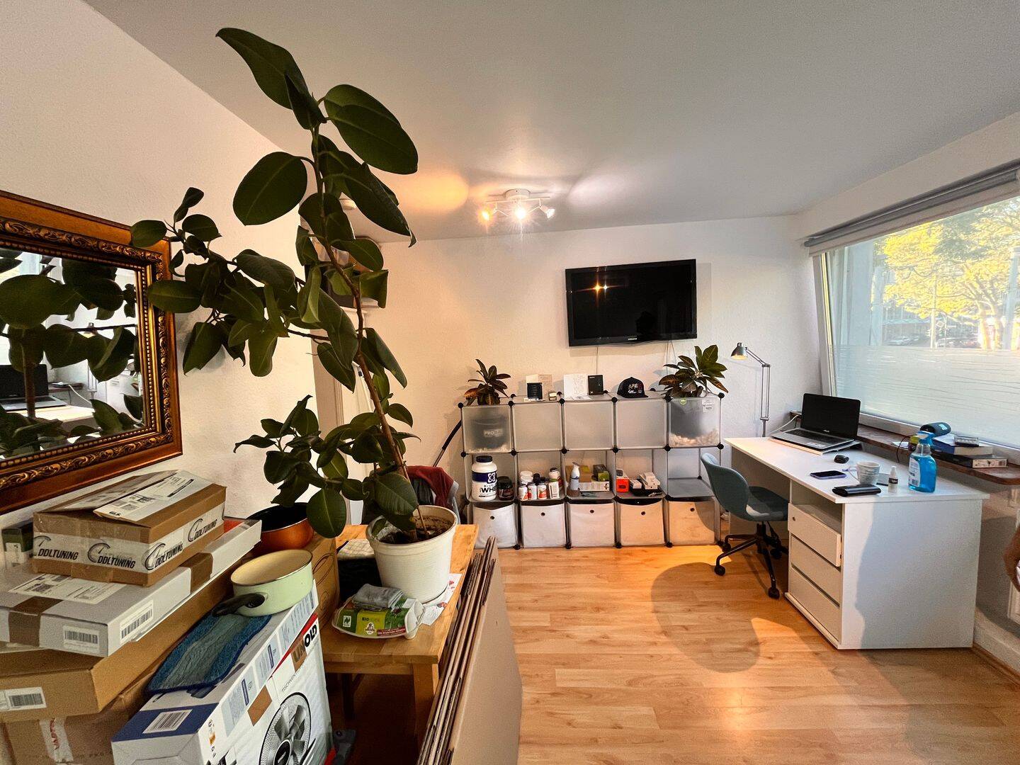 Gemütliche, helle 1-Zimmerwohnung mit Einbauküche und eigenem Bad, 50931 Köln (Lindenthal)