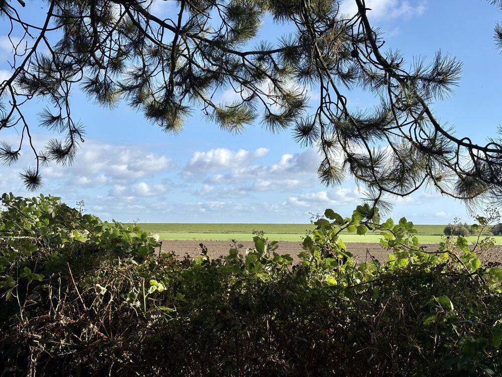 Weitblick zum Nordseedeich, 25836 Vollerwiek