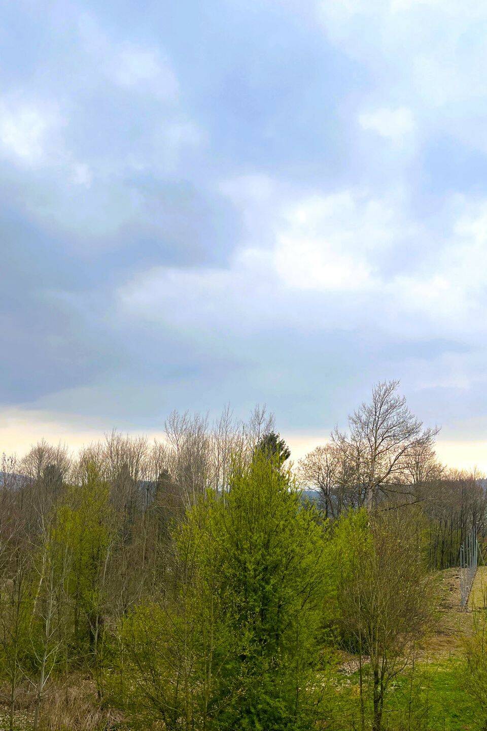 Renovierungsbedürftiges – Apartment in der Wohnanlage am Predigtstuhl, 94379 Sankt Englmar