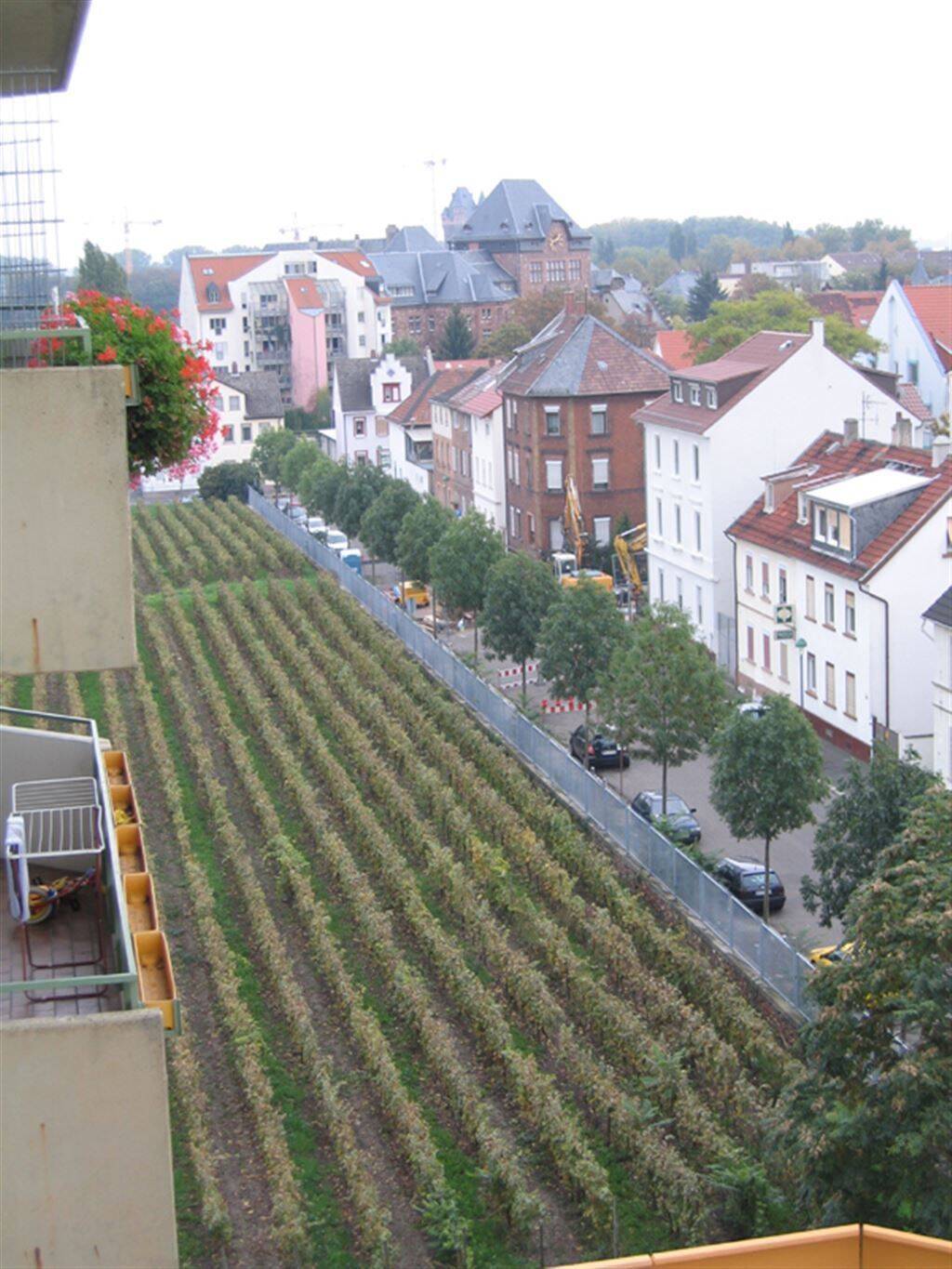 …..wohnen mit Blick über die Dächer von Worms, 67547 Worms (Innenstadt Weinsheim)