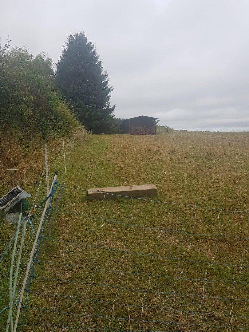 Wunderschönes Grundstück im Grünen, 54585 Esch