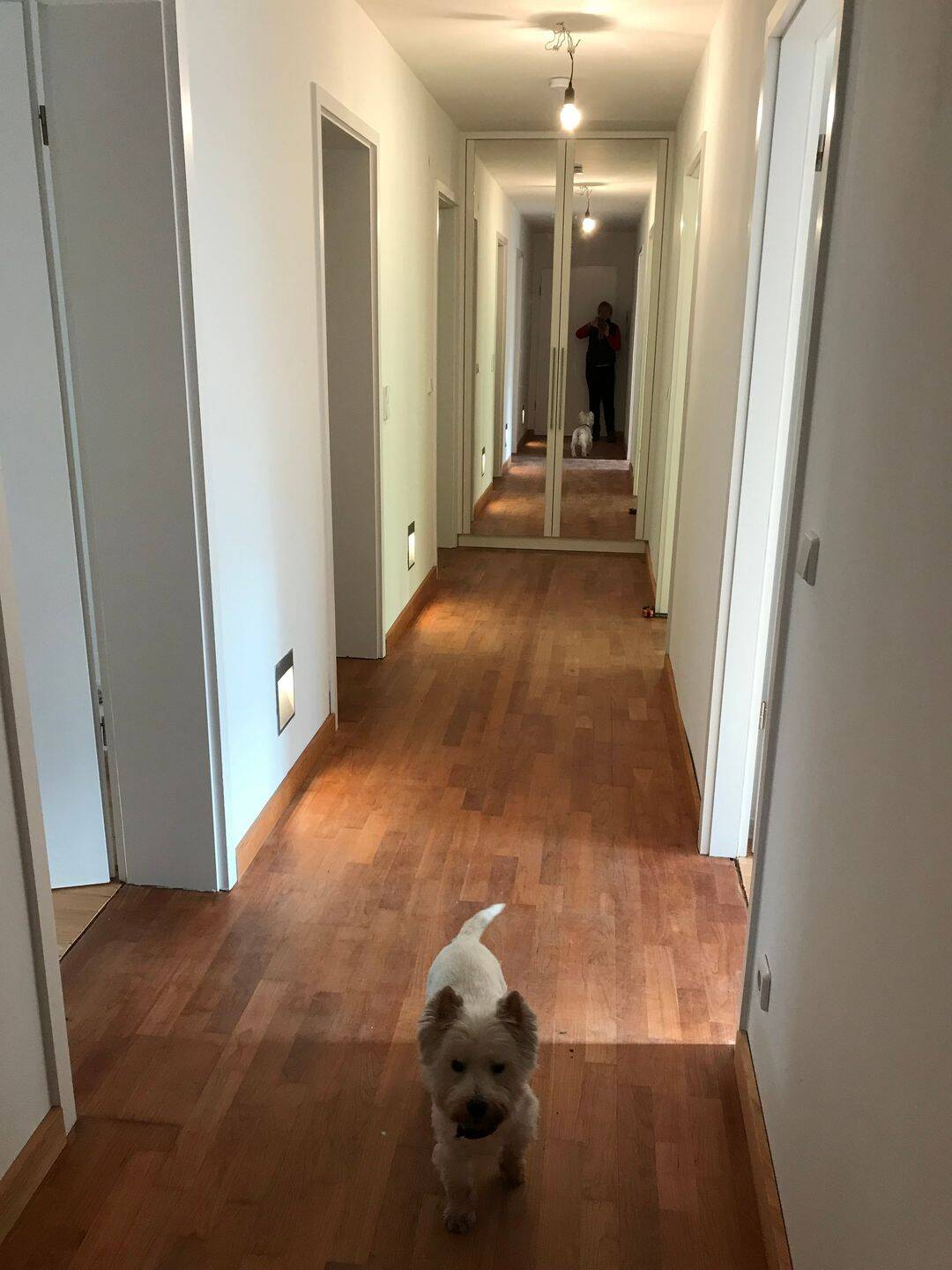 Eigentumswohnung, 3 Zimmer, 85 m², in Berlin, 12559 Berlin (Treptow-Köpenick)