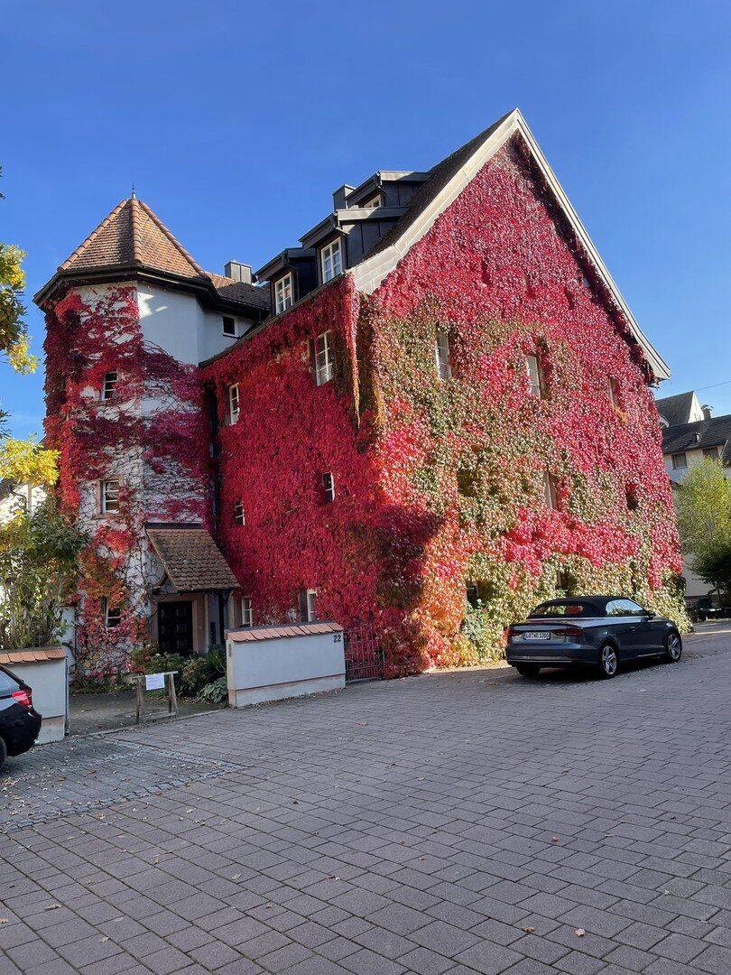Schopfheim-Altstadt – 3 Zimmer Wohnung Dachgeschoss in Mehrfamilienhaus, 79650 Schopfheim